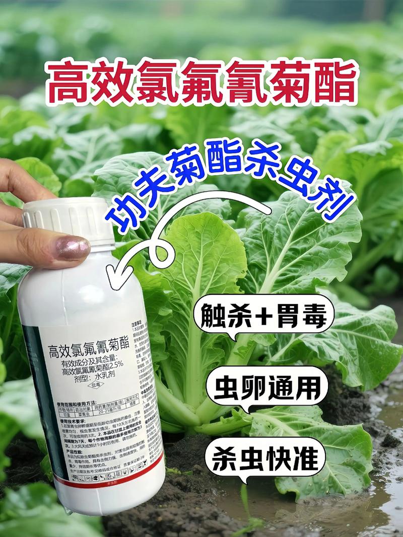 南充代生中心:农药对供卵代生妈妈的危害